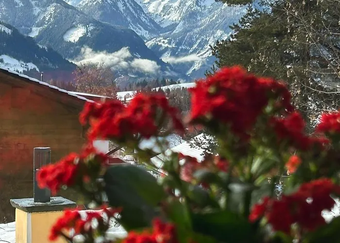 Гостевой дом Savisalo Рамзау